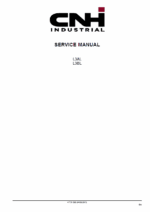 CNH L3AL, L3BL Tier 3 Engine Service Manual